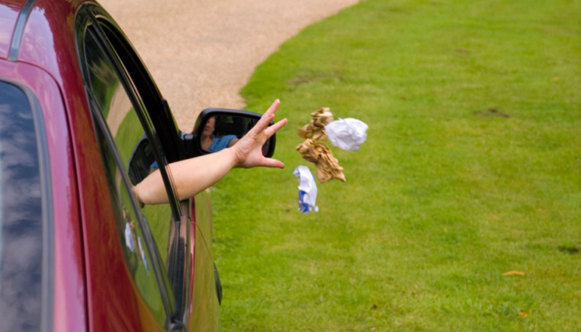 How Is Environmental Pollution Punished?