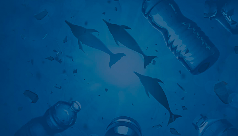 Main Causes of Water Pollution and How to Prevent Them